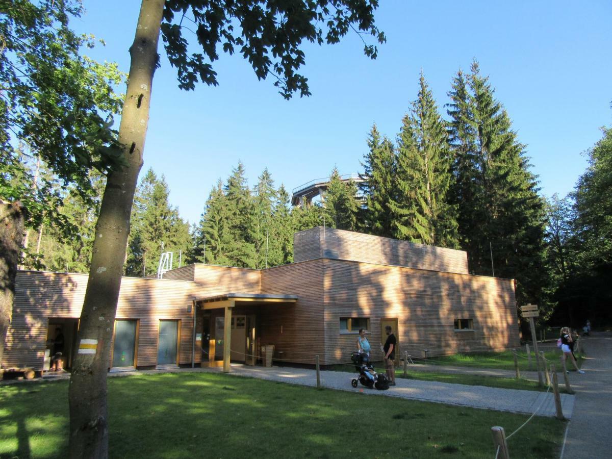 Apartamento Julie 1 Svoboda nad Úpou Exterior foto